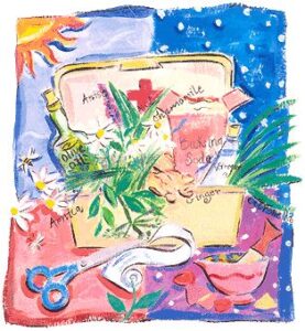 Packing a Portable Vacation First-Aid Kit Image